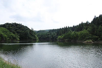 湄潭仙谷山